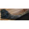 Image 3 : VERY RARE MAMMOTH TUSK