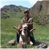Image 3 : MONGOLIA ARGALI CONSERVATION PERMIT AND HUNT