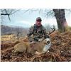 Image 3 : KODIAK SITKA BLACKTAIL HUNT