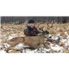 Image 4 : KODIAK SITKA BLACKTAIL HUNT