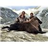 Image 3 : 5 DAY BULL TAHR HUNT