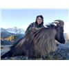 Image 5 : 5 DAY BULL TAHR HUNT