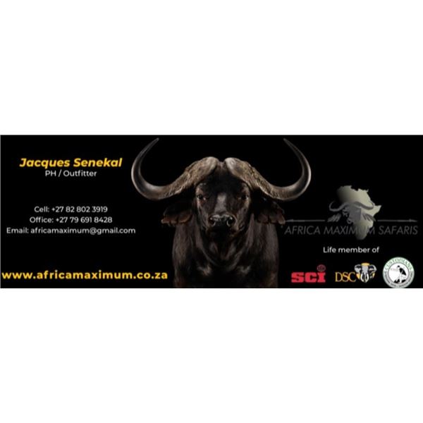 8 DAY AFRICA KUDU AND SABLE HUNT FOR 2 HUNTERS AND 2 OBSERVERS