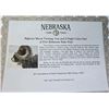 Image 1 : NEBRASKA BIGHORN SHEEP VIEWING FOR 2