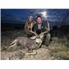 Image 1 : TEXAS MULE DEER HUNT FOR 4 HUNTERS