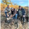 Image 2 : TEXAS MULE DEER HUNT FOR 4 HUNTERS