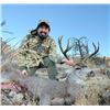 Image 3 : TEXAS MULE DEER HUNT FOR 4 HUNTERS