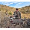 Image 4 : TEXAS MULE DEER HUNT FOR 4 HUNTERS