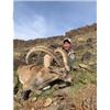 Image 1 : WIN A MONGOLIAN GOBI IBEX HUNT!!!!