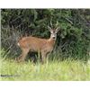 Image 1 : Hunt Trip Spain
