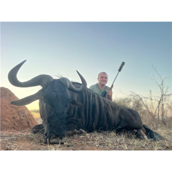 Mangwa Hunting Safaris