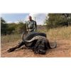 Image 1 : Bronkhorst Safari's