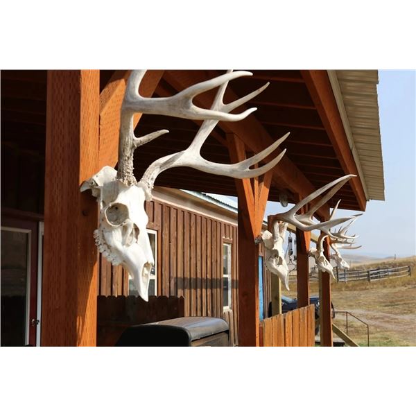 Old Sage Outfitters