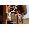 Image 1 : Old Sage Outfitters
