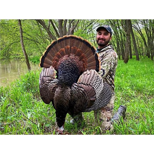 Goulds Turkey Mexico