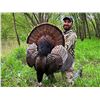 Image 1 : Goulds Turkey Mexico