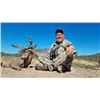 Image 2 : Mexican Coues Deer