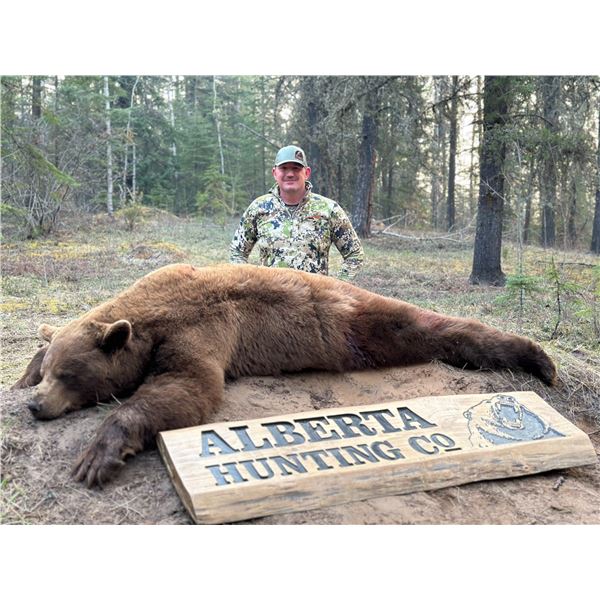 Alberta Hunting Co Black Bear