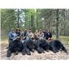 Image 2 : Alberta Hunting Co Black Bear