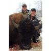Image 1 : Buffalo Wallow Outfitters Trophy Bison