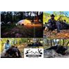 Image 5 : 5-Day NEW MEXICO Bear Hunt with Hounds for Two Hunters - Rick Navarette Outfitter