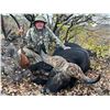 Image 1 : 5-Day Cow Cape Buffalo Hunt - Bobby Hansen’s Safaris