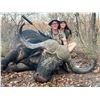 Image 2 : 5-Day Cow Cape Buffalo Hunt - Bobby Hansen’s Safaris