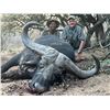 Image 3 : 5-Day Cow Cape Buffalo Hunt - Bobby Hansen’s Safaris