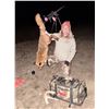 Image 2 : 2-Night Maryland Red Fox Hunt - Barneck Outfitters