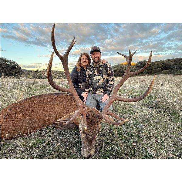 4-Day Spanish Big Game Hunt for Two Hunters -The Iberian Hunting Experience