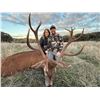 Image 1 : 4-Day Spanish Big Game Hunt for Two Hunters -The Iberian Hunting Experience