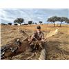 Image 7 : 4-Day Spanish Big Game Hunt for Two Hunters -The Iberian Hunting Experience