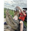 Image 3 : 1-Day Florida Alligator Hunt for 1 Hunter & 1 Non-Hunter - Gator Quest