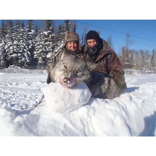 5-day Ontario Wolf Hunt, 1 Hunter - Kapriver Outfitters