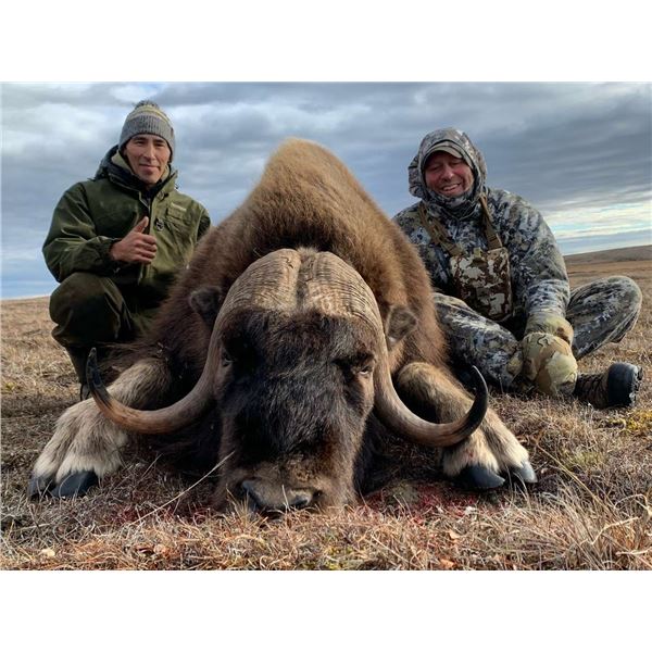 5-Day Guided Spring Barren Ground Muskox Hunt - Canadian High Arctic Adventures