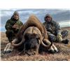 Image 1 : 5-Day Guided Spring Barren Ground Muskox Hunt - Canadian High Arctic Adventures