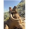 Image 1 : 3-Day FREE RANGE Aoudad Hunt in Mexico - Yukkutz Hunting