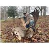 Image 1 : 2-Day England Muntjac or Fallow Deer Hunt - Kevin Downer Sporting Consultants