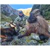 Image 2 : 5-Day New Zealand Bull Tahr & Chamois Combo Hunt - Cardrona Outfitters