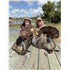 Image 3 : 3-Day Florida Osceola Turkey 1 Hunter -Central Florida Outfitters