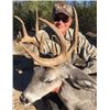Image 1 : 5-Day Arizona Trophy Coues Deer Hunt for Two Hunters - Rincon Outfitters