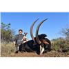 Image 3 : 7-Day South African Sable Antelope Hunt - Matwetwe Safaris
