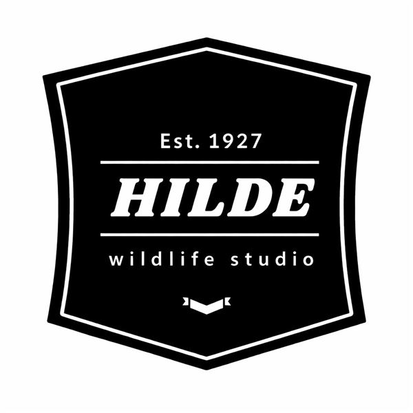 $1,000 African Safari Taxidermy Credit - Hilde Wildlife Studio