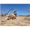 Image 1 : Texas Trophy Hunt Credit for Two Hunters - Big Racks Ranch