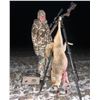 Image 3 : Michigan Thermal Coyote Hunt for Two - HOTSHOT Outfitters