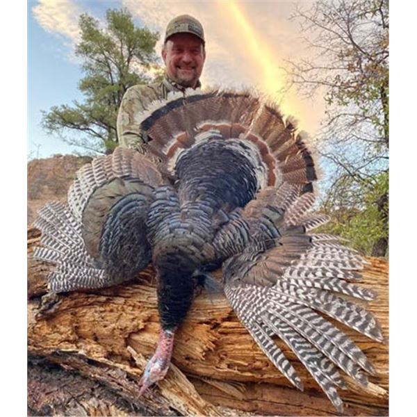 5-Day Mexico GOULDS TURKEY Hunt 1 hunter - Rincon Outfitters