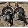 Image 3 : 5-Day Mexico GOULDS TURKEY Hunt 1 hunter - Rincon Outfitters