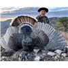 Image 4 : 5-Day Mexico GOULDS TURKEY Hunt 1 hunter - Rincon Outfitters