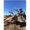 Image 2 : 5-Day Kansas Whitetail Deer Hunt - Post Rock Outfitters