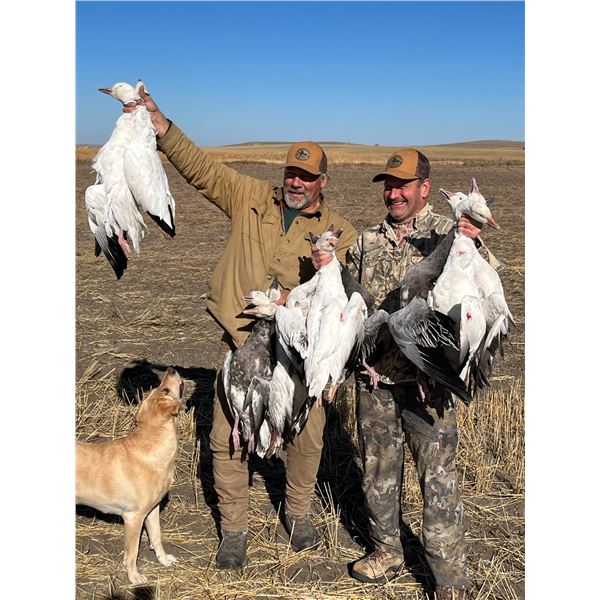 3-day Saskatchewan Waterfowl & Upland Combo Hunt 1 hunter - Benelli Boyz